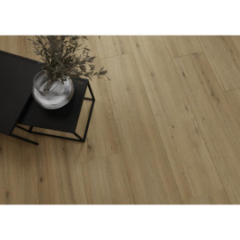 D80651 Tamins Oak 24 MM