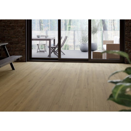 D80651 Tamins Oak 24 MM