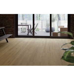 D80651 Tamins Oak 24 MM