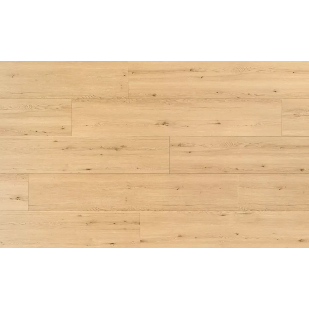 D80631 24 MM