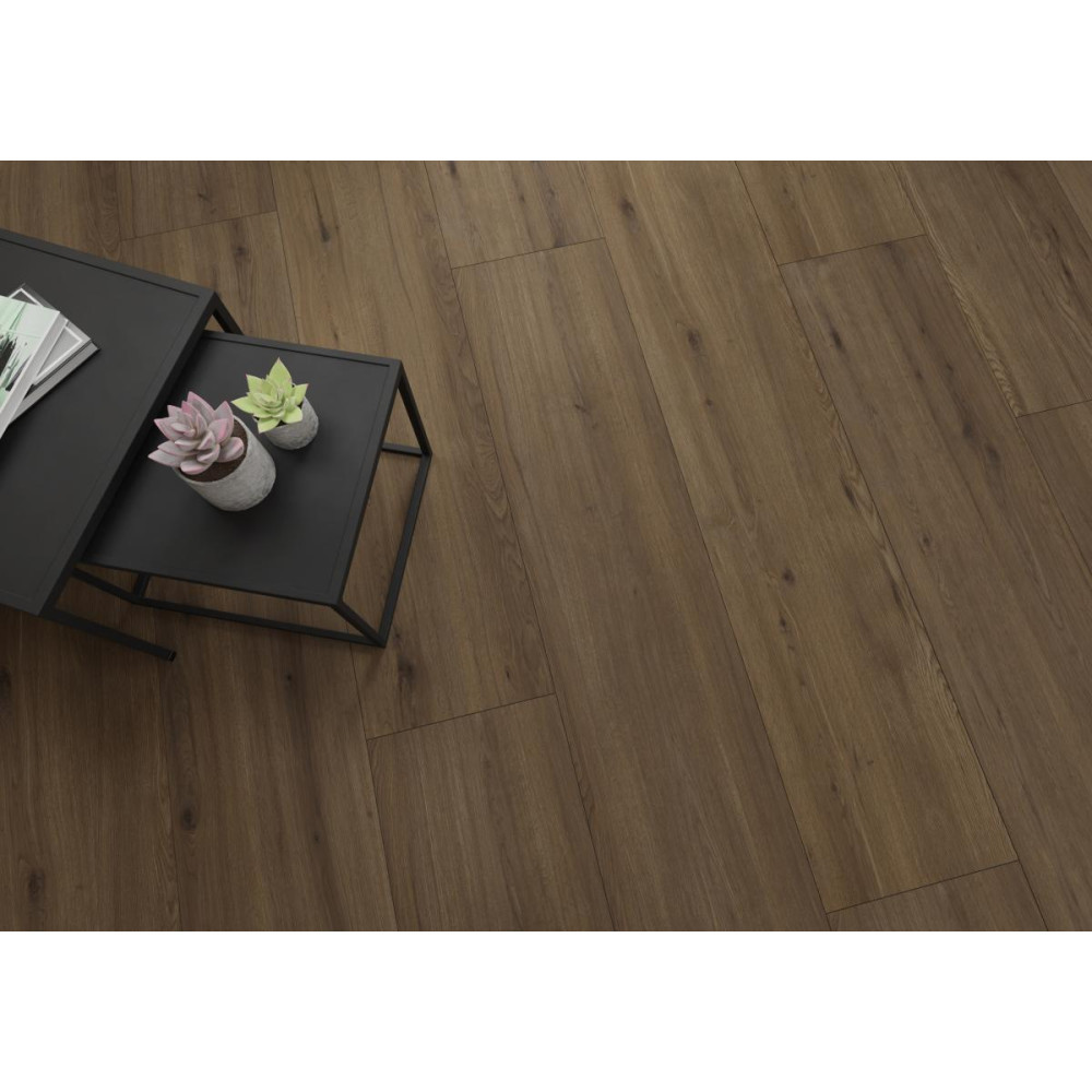 D80671 Sedrun Oak 