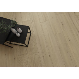 D80641 Chur Oak